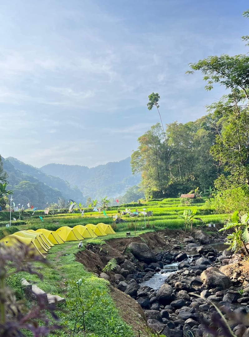 Area camping Muara Jambu dengan deretan tenda kuning di tepi sungai